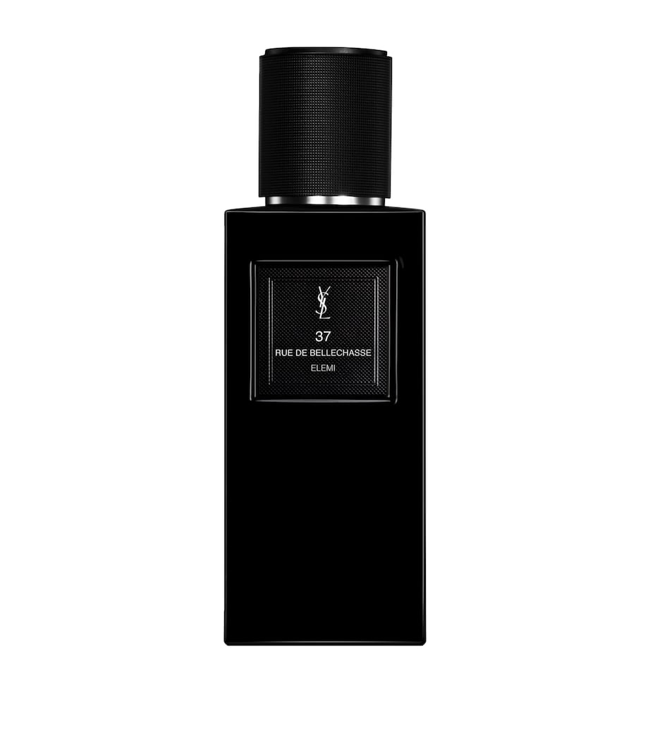 YSL 37 RUE DE BELLECHASSE